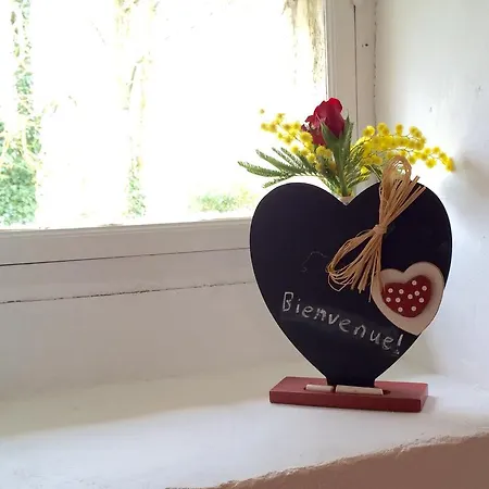 Pensionat Maison D'etre *